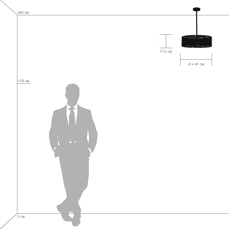 Изображение товара Потолочная люстра Lightstar Amerigo 746048 для современного интерьера