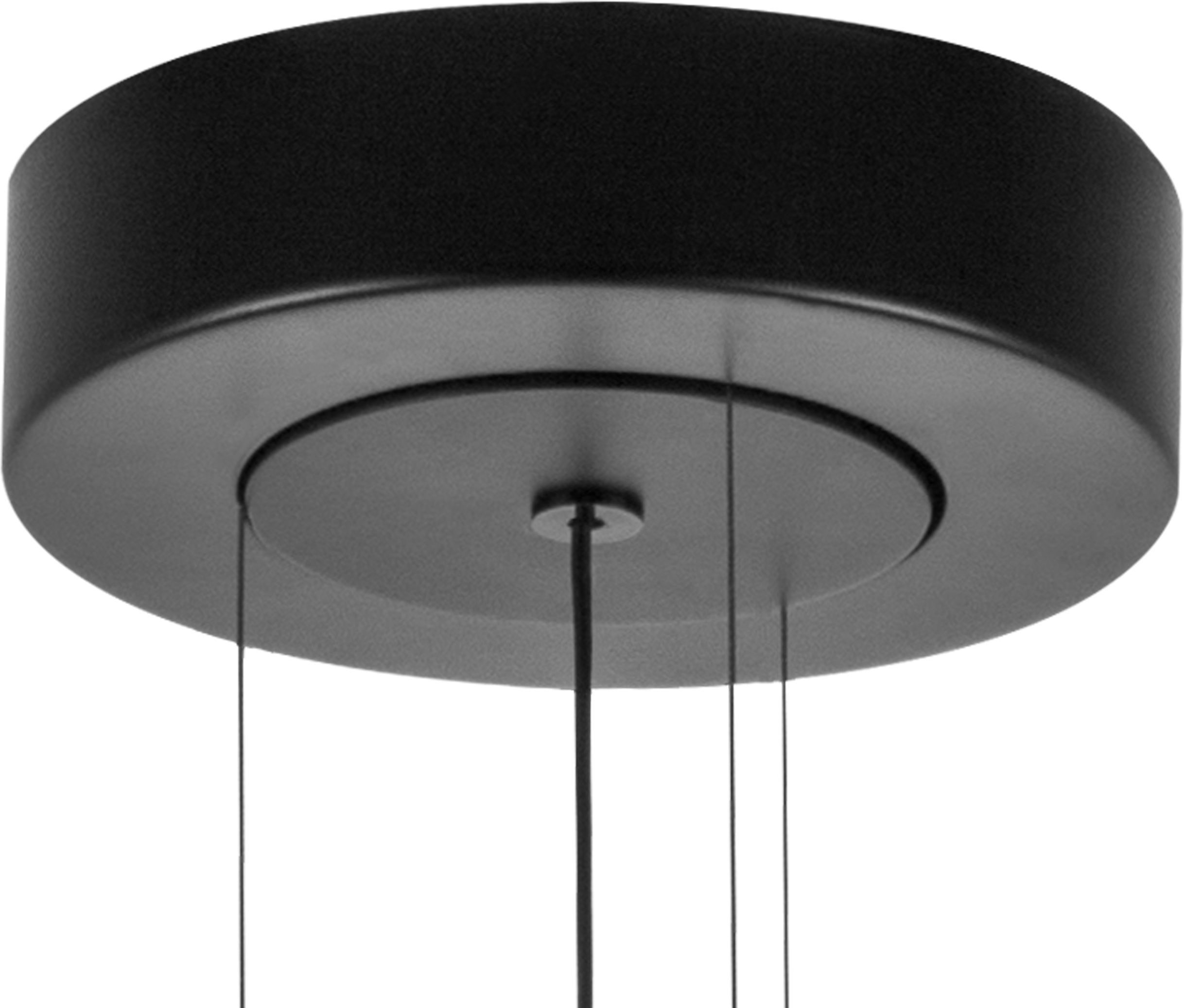 Изображение товара Подвесной светильник светодиодный Lightstar Viola 814531 современный дизайн