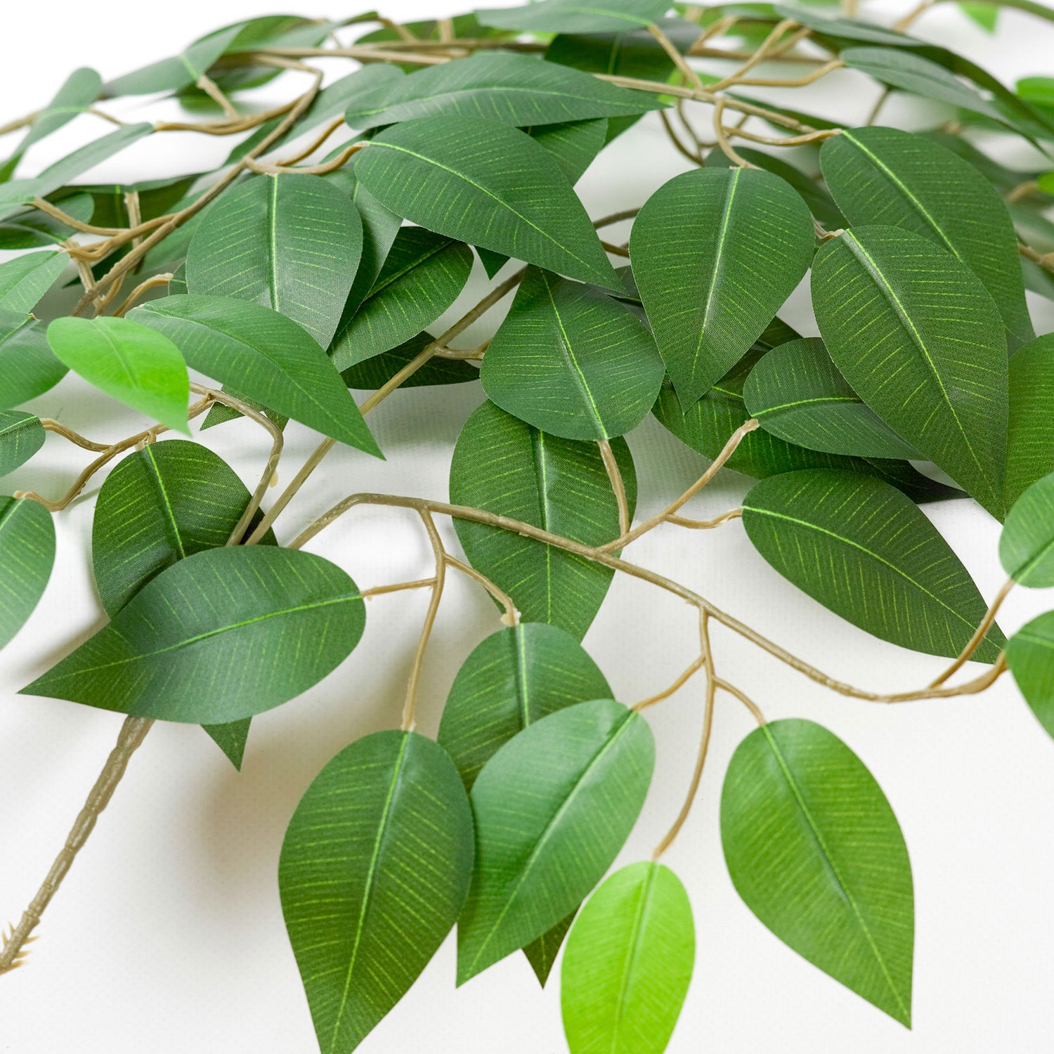 Изображение товара Настольная лампа Lussole Idaho LSP-0682 листья