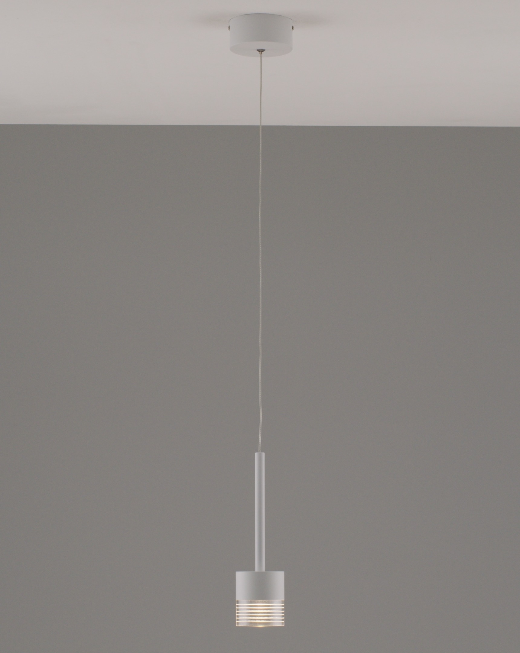 Изображение товара Подвесной светильник светодиодный Moderli Self V10852-PL