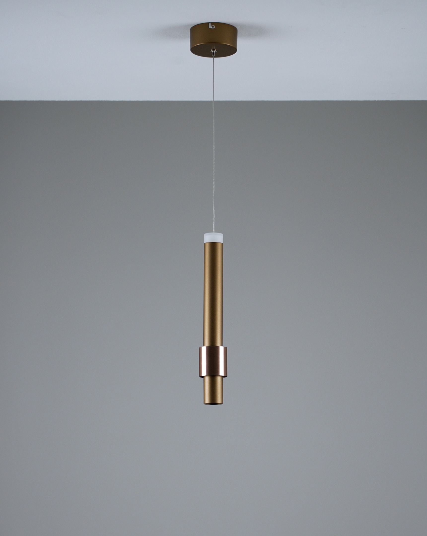 Изображение товара Подвесной светодиямиодный светильник Moderli Elli V10882-PL для современного интерьера