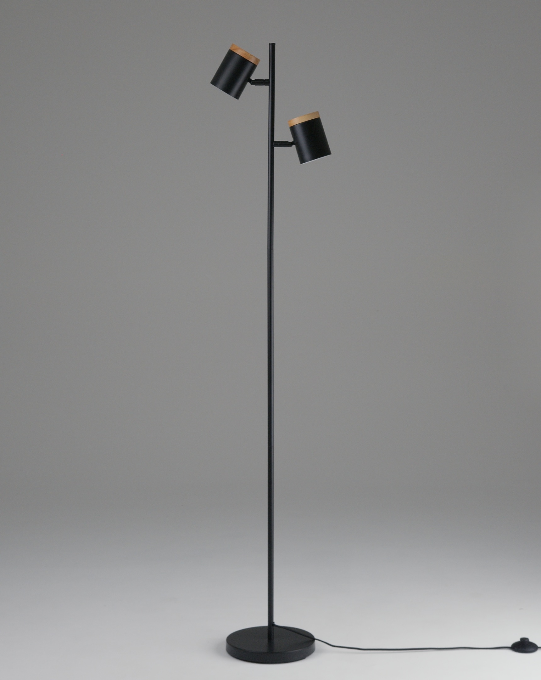 Изображение товара Торшер с выключателем Moderli Asheswood V11287-2F