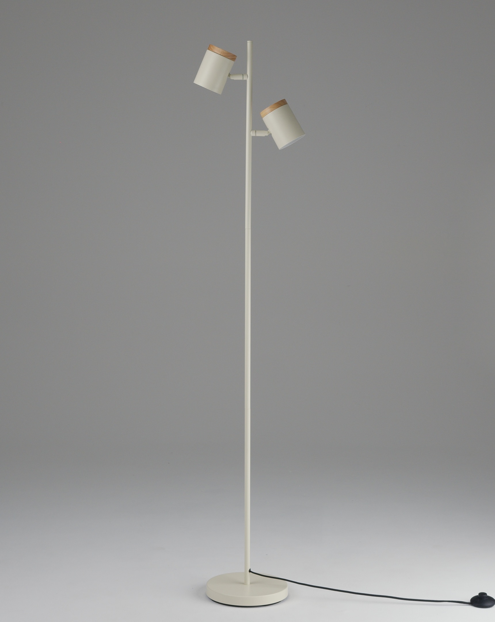 Изображение товара Торшер с выключателем Moderli Asheswood V11288-2F