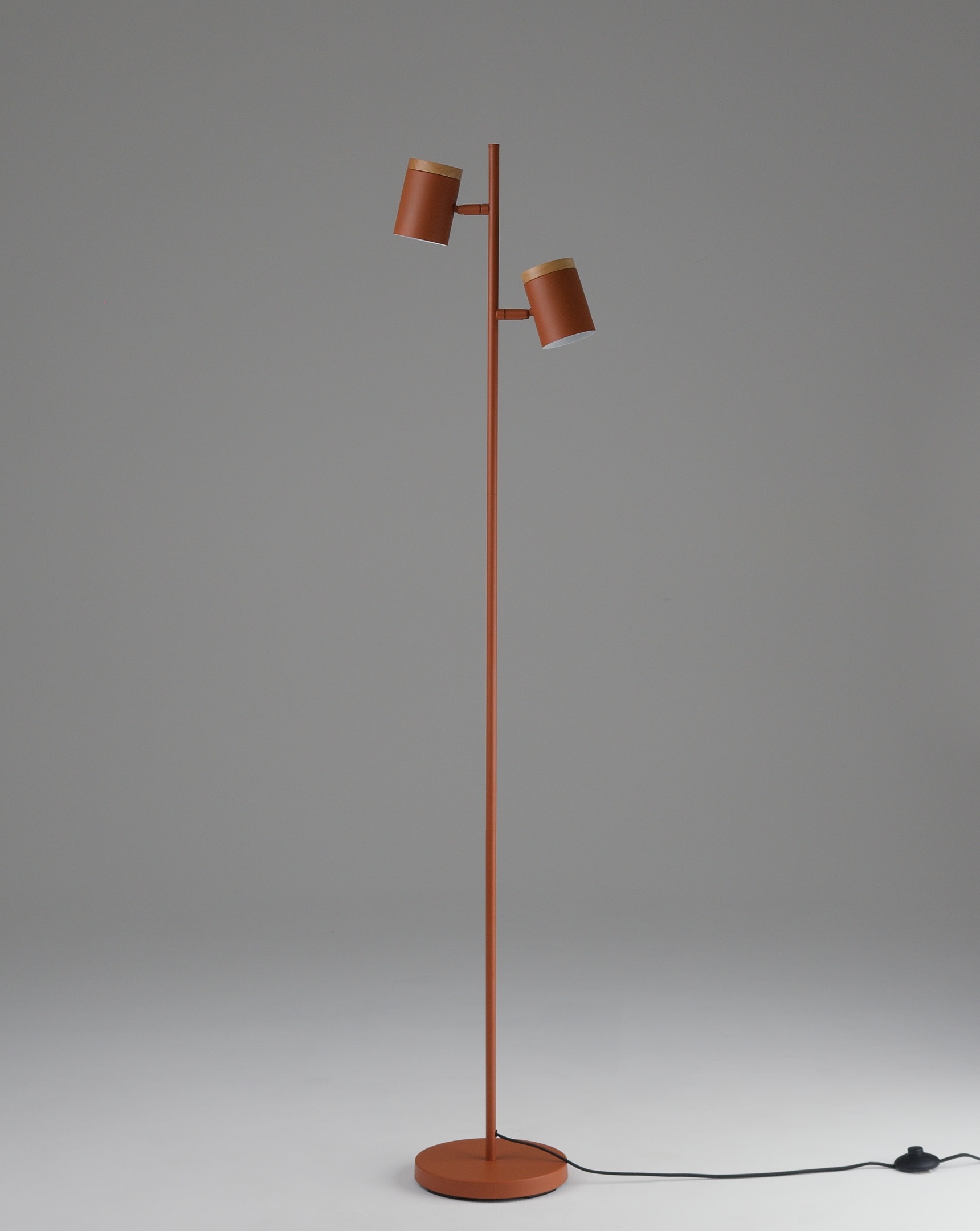 Изображение товара Торшер с галогенными лампами с выключателем Moderli Asheswood V11289-2F