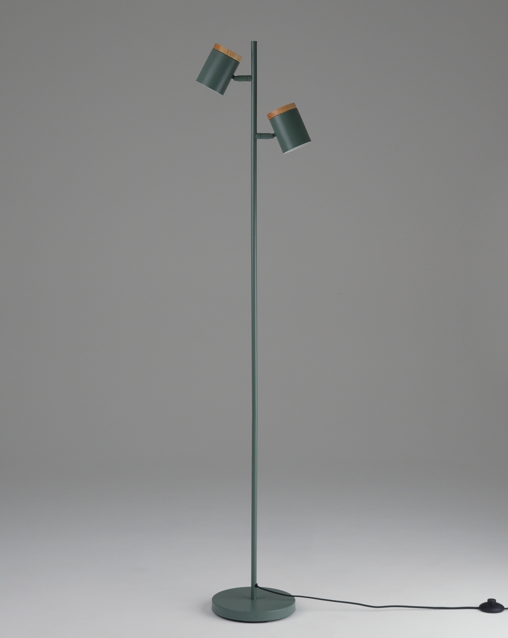 Изображение товара Торшер с галогенными лампами с выключателем Moderli Asheswood V11290-2F