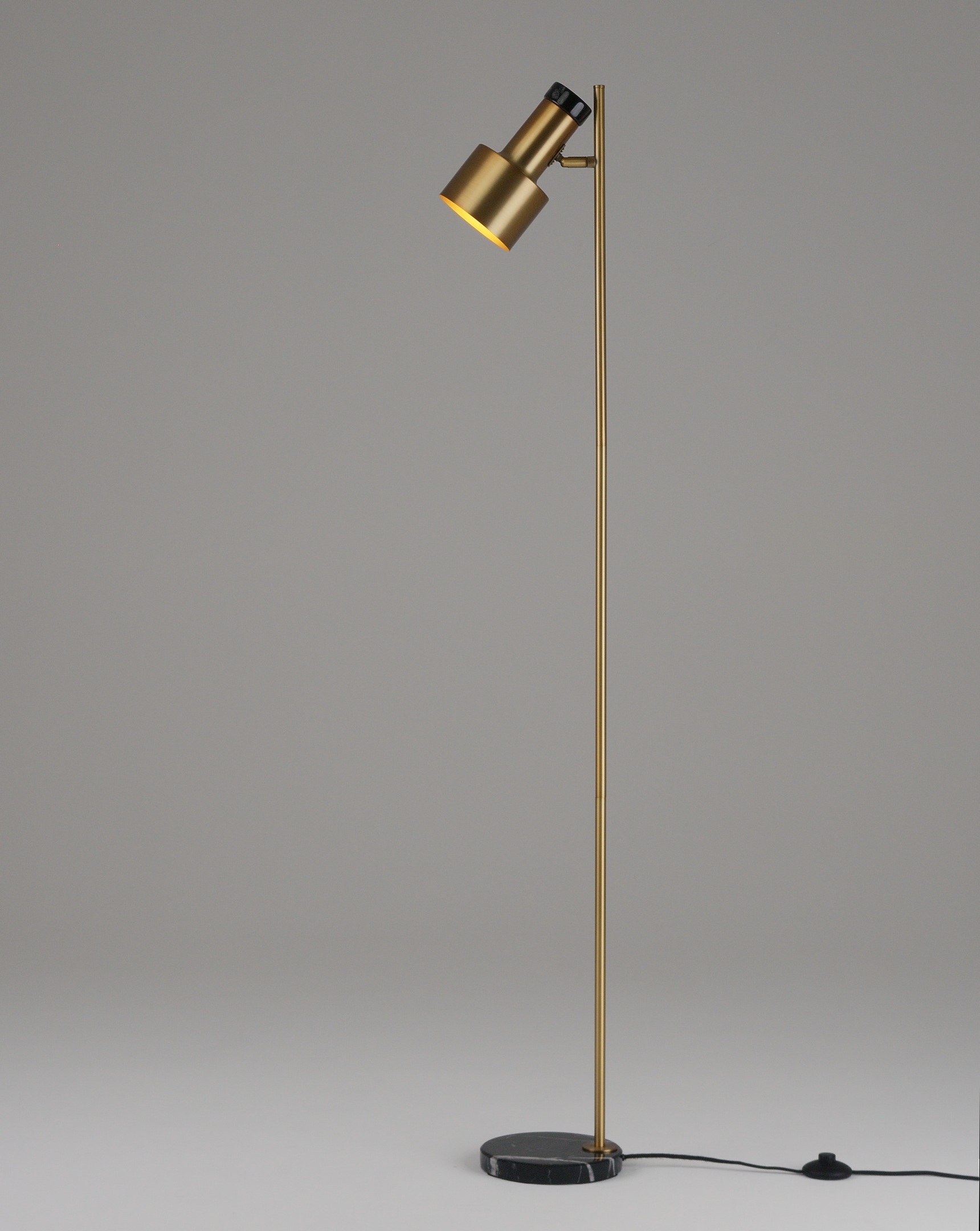 Изображение товара Торшер с выключателем Moderli Goldy V11310-1F