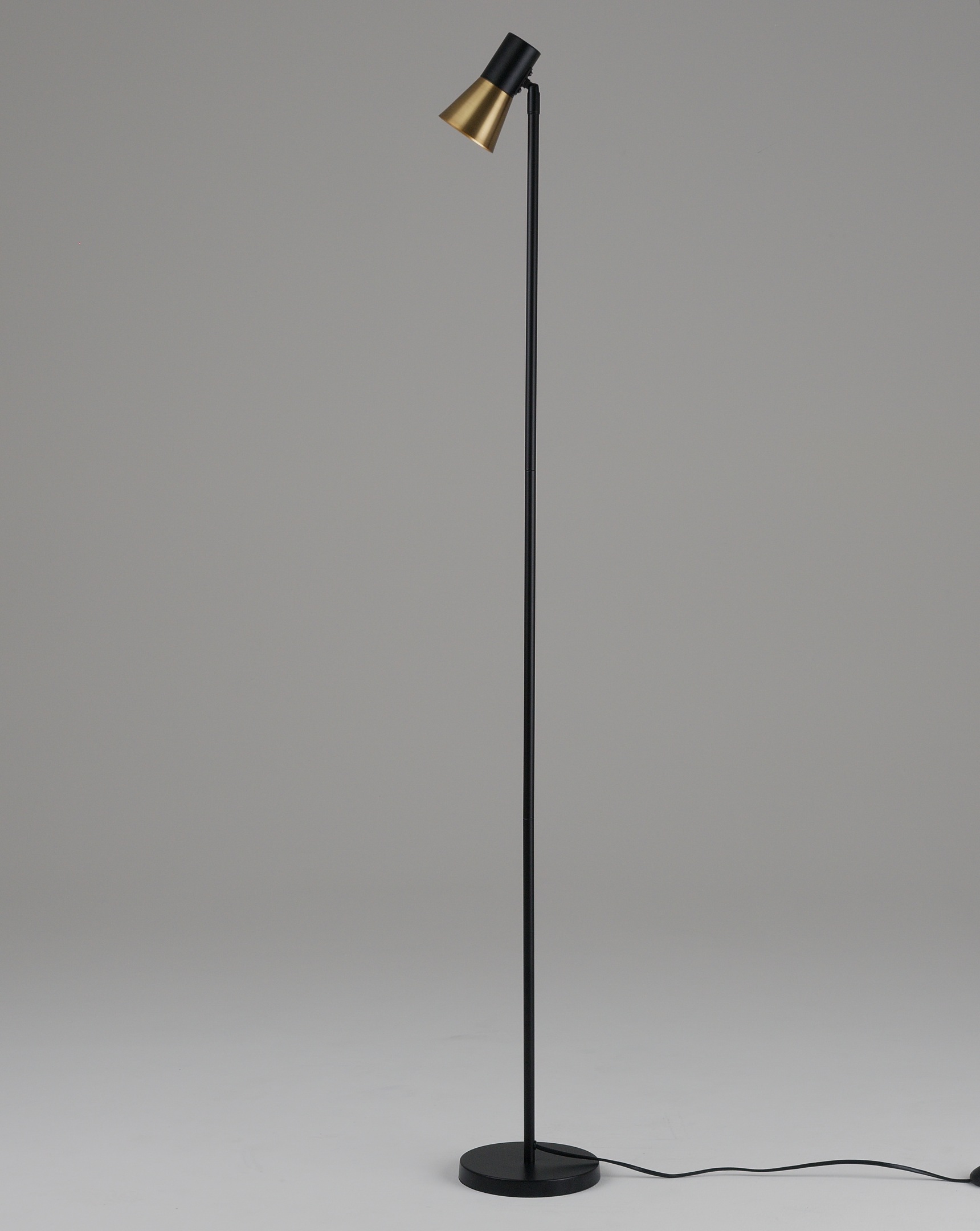 Изображение товара Торшер с выключателем Moderli Melro V11328-1F