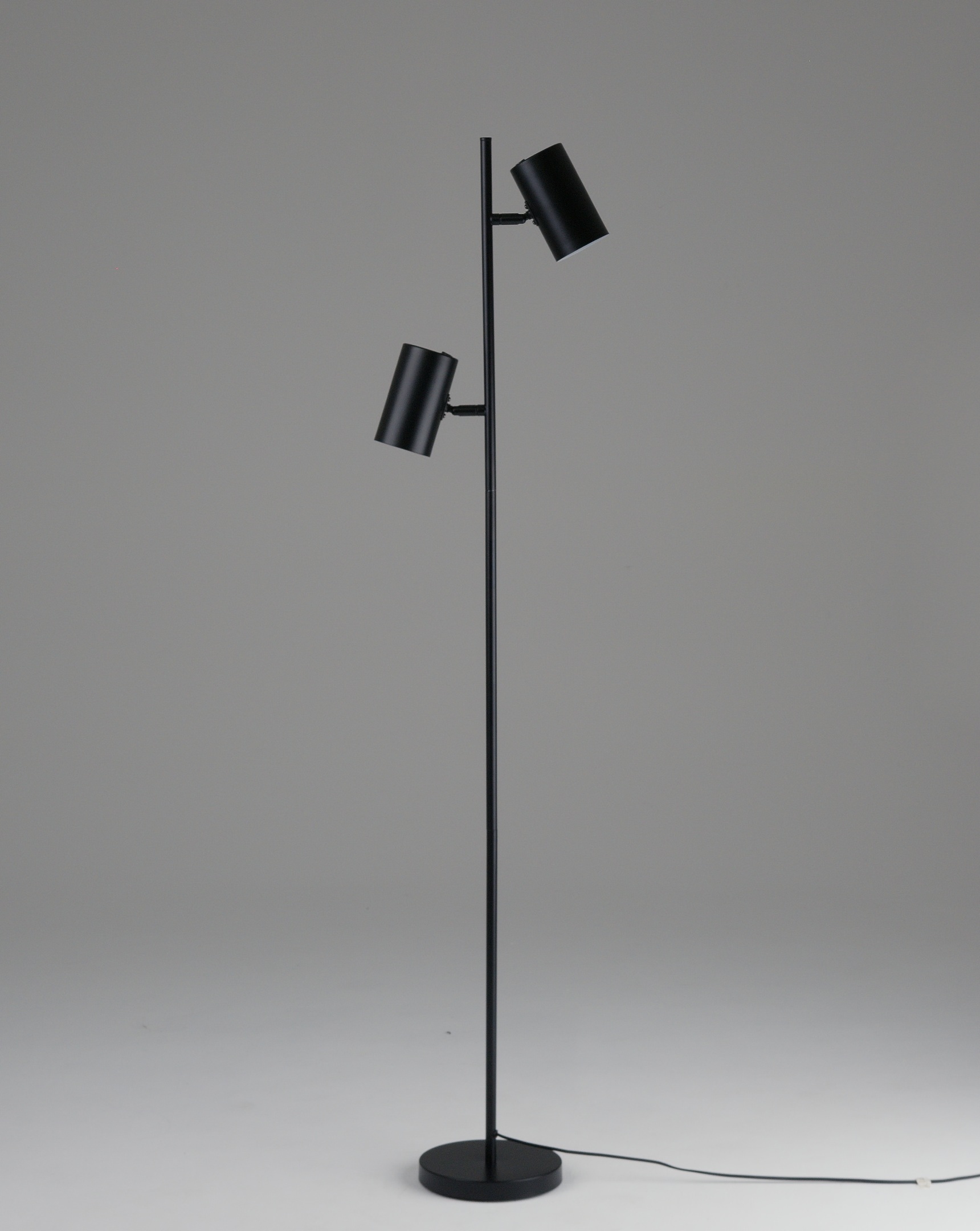 Изображение товара Торшер Moderli Ashes V11329-2F