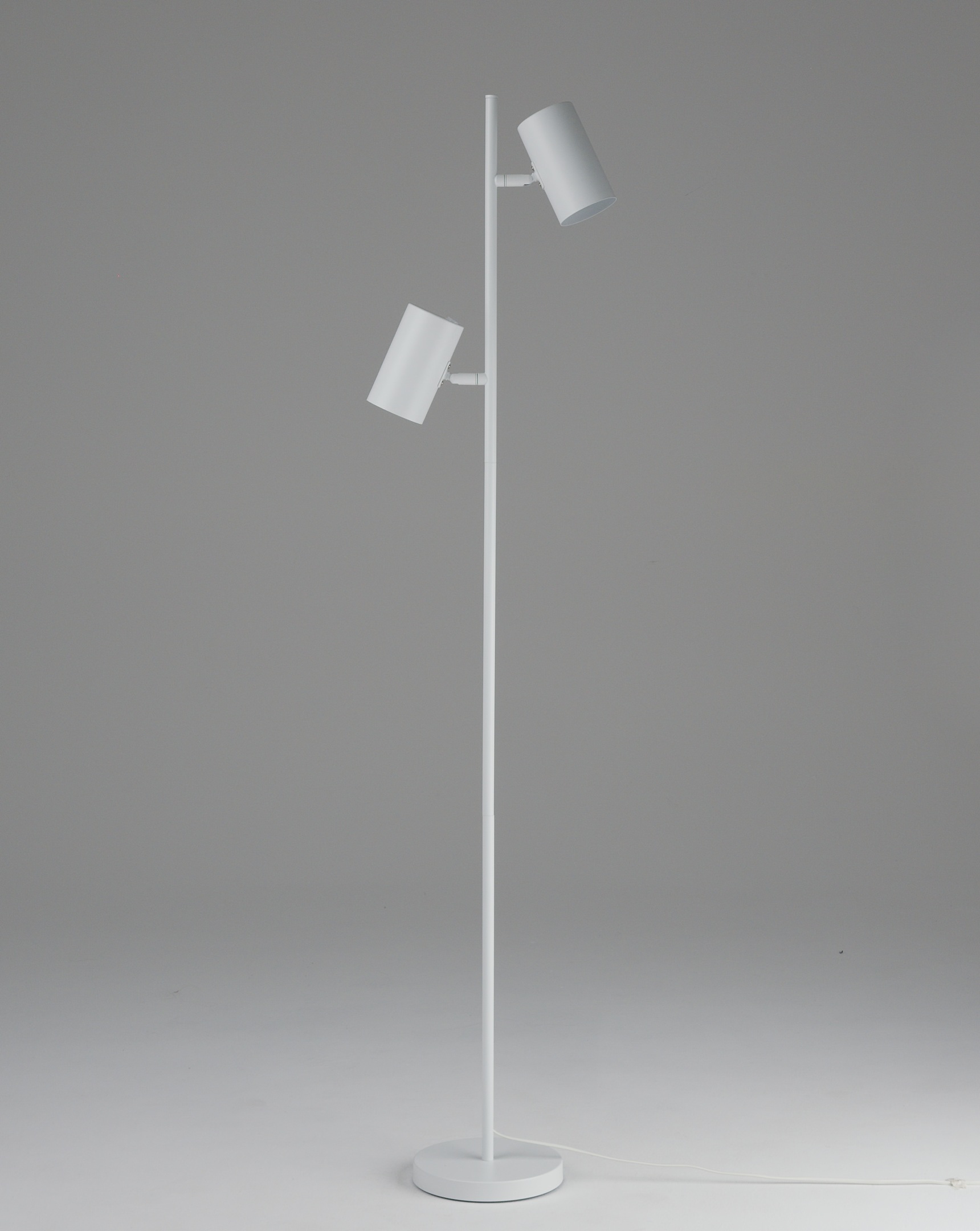 Изображение товара Торшер Moderli Ashes V11331-2F современный дизайн техно и лофт для гостиной и спальни