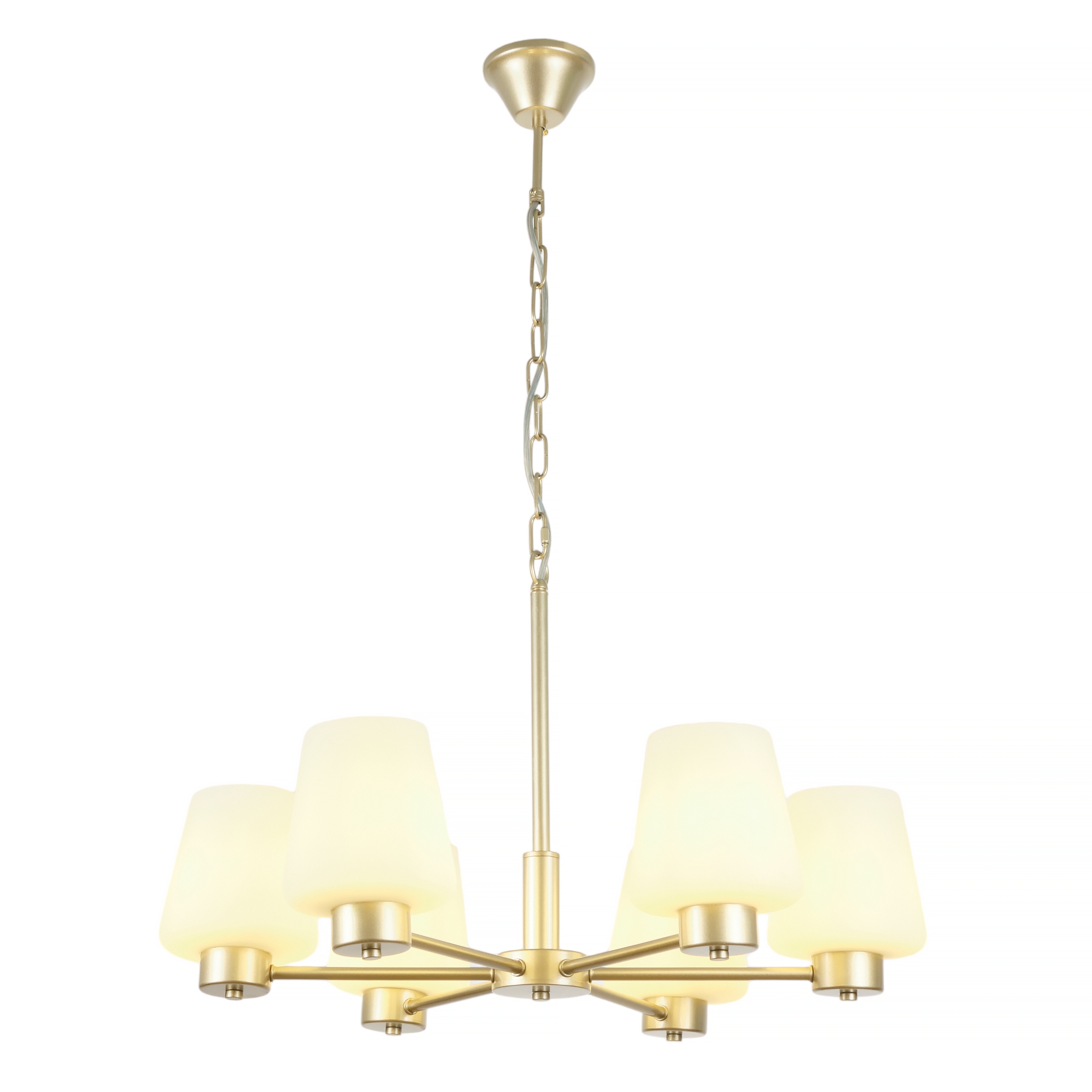 Изображение товара Подвесная люстра MyFar Mark MR2341-6P