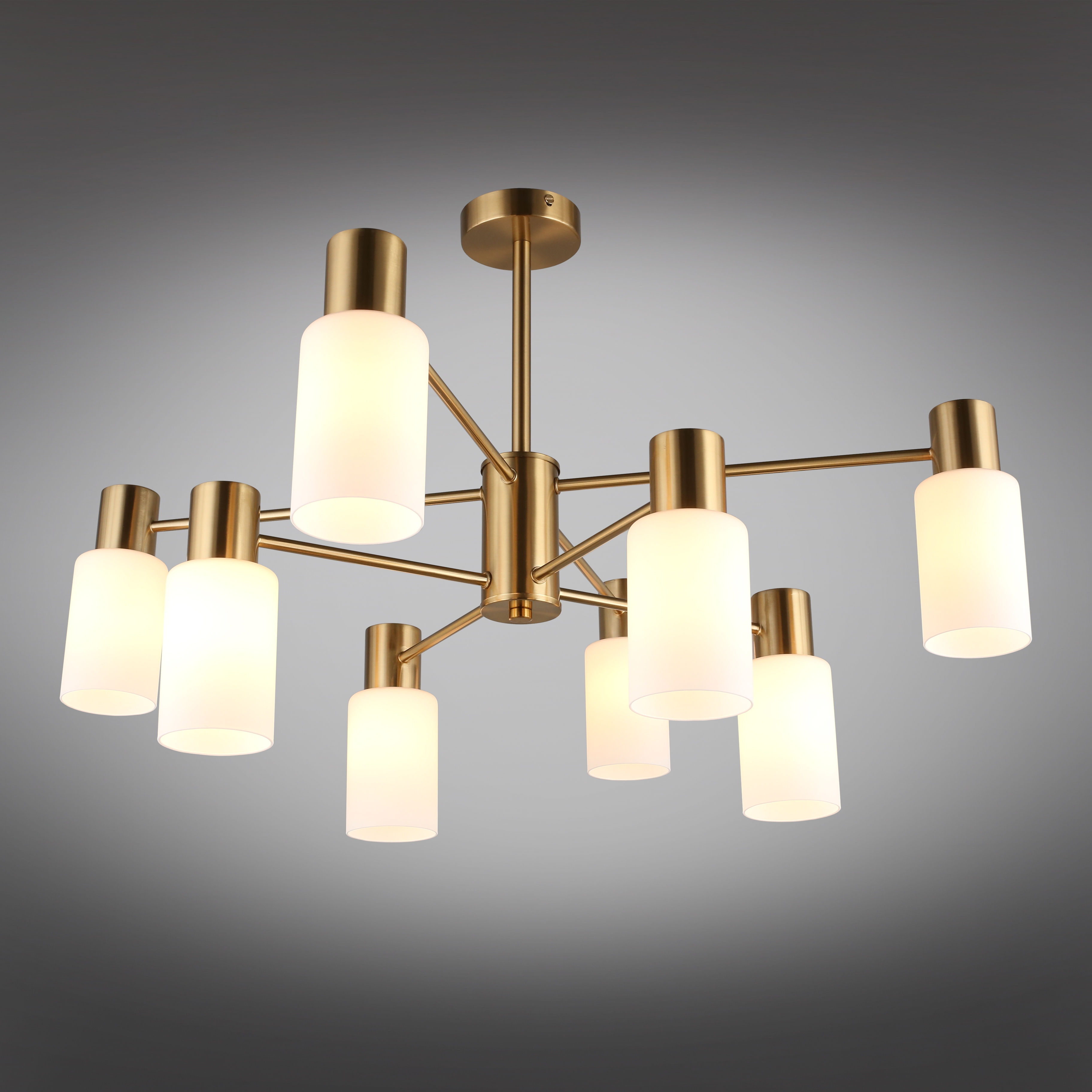 Изображение товара Потолочная люстра на штанге Omnilux Ales OML-69107-08 модерн 8 плафонов