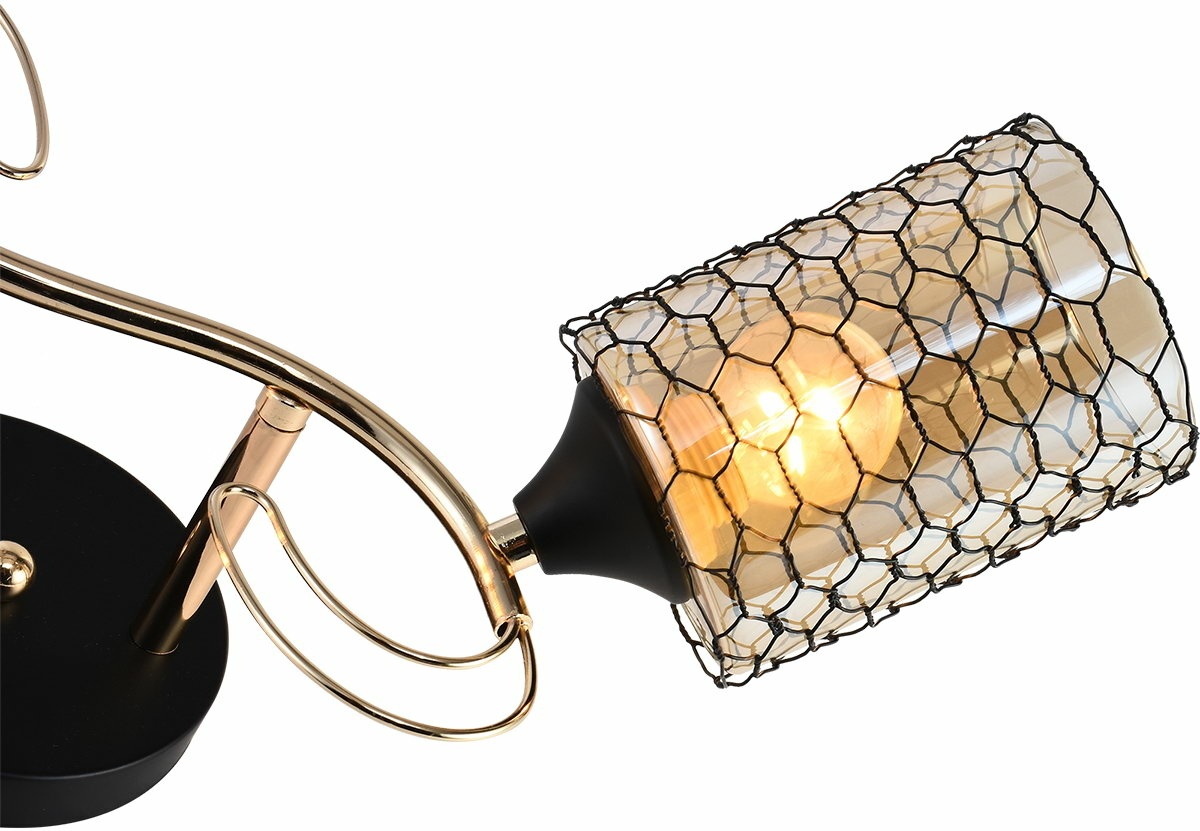 Изображение товара Потолочная люстра Reluce 01309-0.3-02 BK+FGD с 2 плафонами