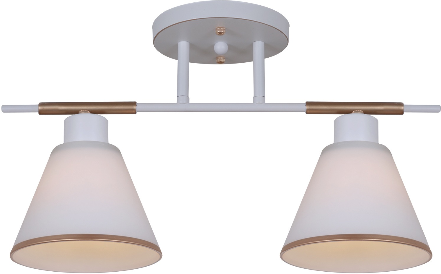 Изображение товара Потолочная люстра на штанге Reluce 07594-0.3-02 WG