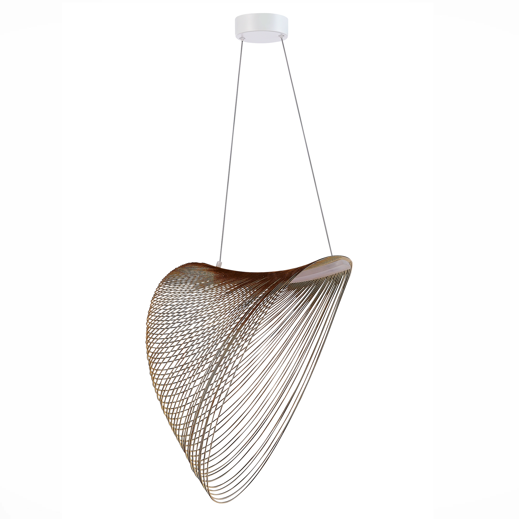 Изображение товара Подвесной светильник LED ST Luce Fossil SL6900.503.24