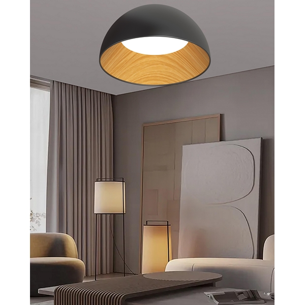 

Потолочный светильник LED Alfa Light F0724-13, Черный, F0724-13