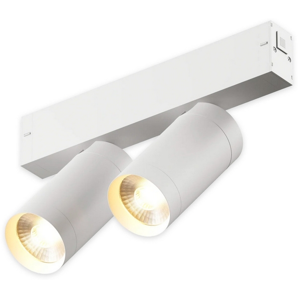 

Трековый светильник однофазный светодиодный 220V 20W AM Group SMART CYLINDER AM528 WH-220V-2X10W SMART, Черный, SMART CYLINDER AM528 WH-220V-2X10W SMART