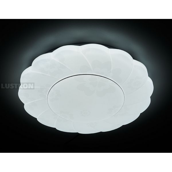 

Потолочный светодиодный светильник с пультом F146 WH 96W D500 (Ambrella), Белый, Orbital Design F146 WH 96W D500