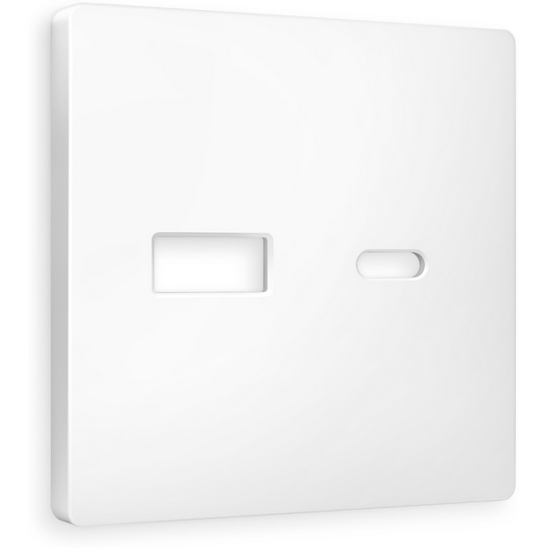 

Лицевая панель Ambrella Volt ALFA (Белый матовый) для розетки 2USB A+C QUANT AP1310, Quant AP1310