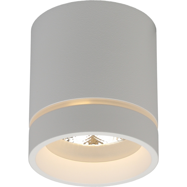 

Накладной светильник светодиодный Aployt Gita APL.0043.09.05, Белый, Gita APL.0043.09.05