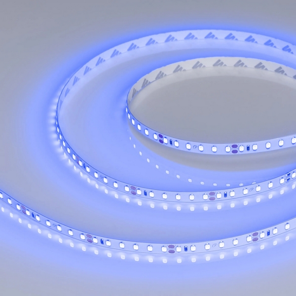 Изображение товара Светодиодная лента RT-A120-8mm 24V Blue 5м Arlight IP20