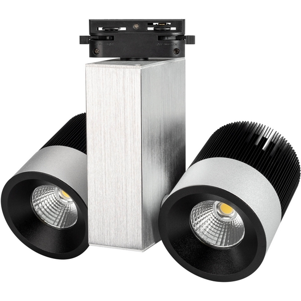 

Трековый светильник однофазный 220V cветодиодный LGD-2238SB-2x15W White 24deg (IP20 Металл) 022045 (Arlight), Серебро, LGD 22045