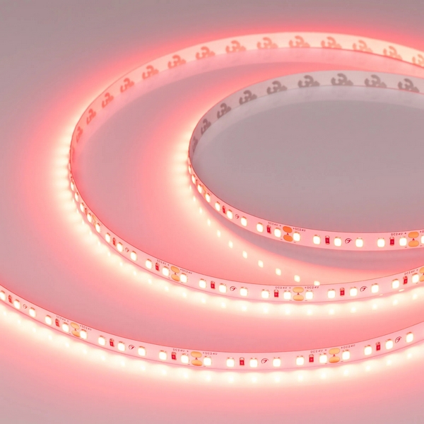 Изображение товара Светодиодная лента RT-A120-8mm 24V Scarlet 9.6 Вт/m IP20 5м Arlight