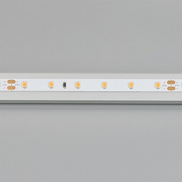 Изображение товара Светодиодная лента Arlight RT-A60-8mm 24V Carrot 5м оранжевый 2835 60 LED/m