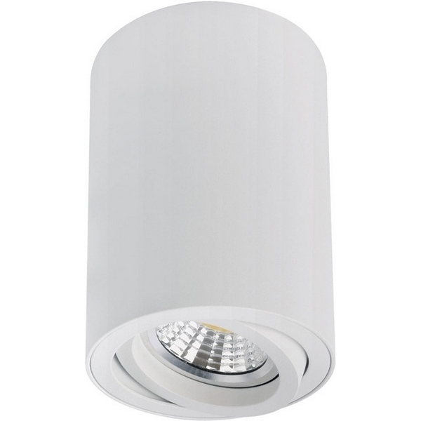 

Накладной потолочный светильник Arte Lamp Sentry A1566PL-1WH, Белый, Sentry A1566PL-1WH