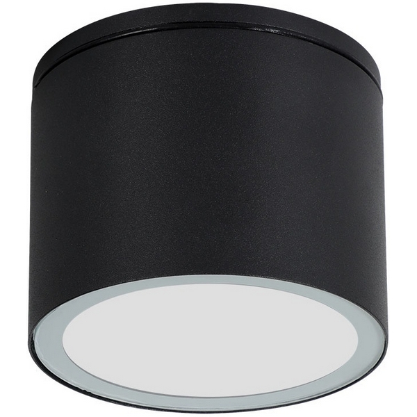 

Потолочный светильник уличный Arte Lamp Piautos A1913PF-1BK, Черный, Piautos A1913PF-1BK