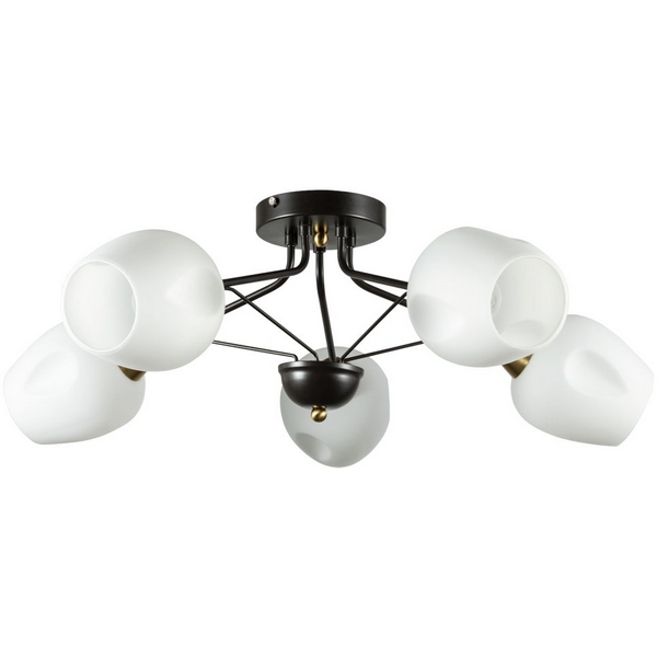 

Потолочная люстра Arte Lamp Brighton A2706PL-5CK, Черно-белый, Brighton A2706PL-5CK