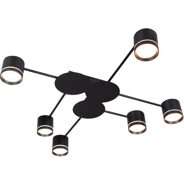 

Потолочная люстра Arte Lamp Legacy A8024PL-6BK, Черный, Legacy A8024PL-6BK