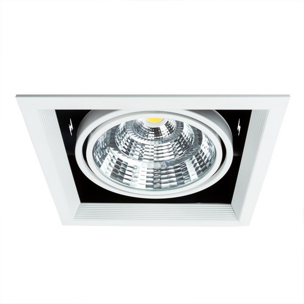 

Встраиваемый светильник светодиодный Arte Lamp Merga A8450PL-1WH, Белый, Merga A8450PL-1WH