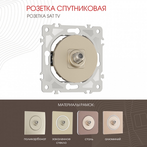 

ТВ-розетка Arte Milano am-202 202.42-1.shampan, Шампань, am-202 202.42-1.shampan