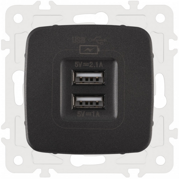 

Розетка USB 2.1А+1А Arte Milano am-205 205.46-1.black, Черный, am-205 205.46-1.black