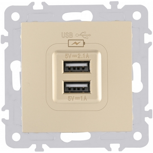 

Розетка USB 2.1А+1А Arte Milano am-206 206.46-1.shampan, Шампань, am-206 206.46-1.shampan
