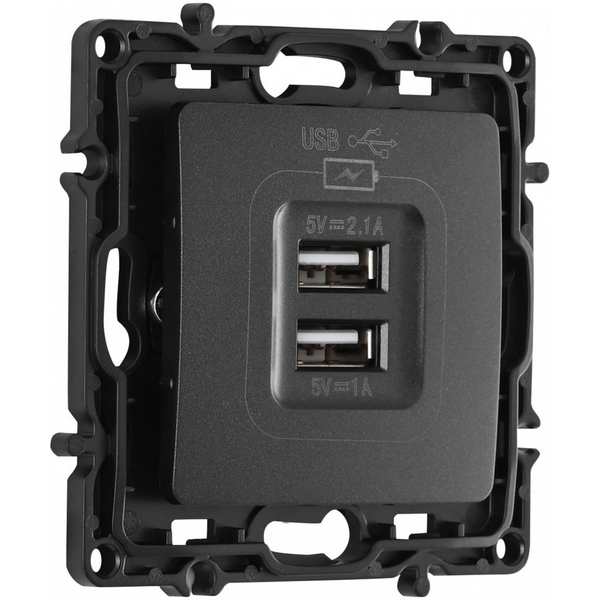 

Розетка USB 2.1А+1А Arte Milano am-217 217.46-1.black, Черный, am-217 217.46-1.black