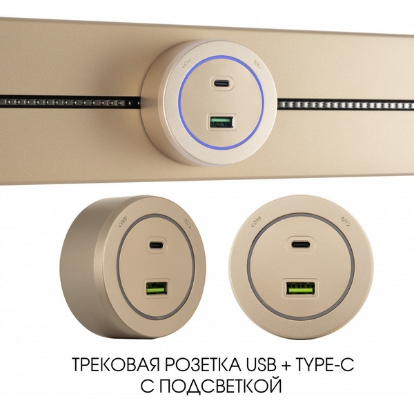 

Трековая розетка USB+Type-C с подсветкой Arte Milano Am-track-sockets-39 399731TS/USB-Type-C Gold, Золото, Am-track-sockets-39 399731TS/USB-Type-C Gold