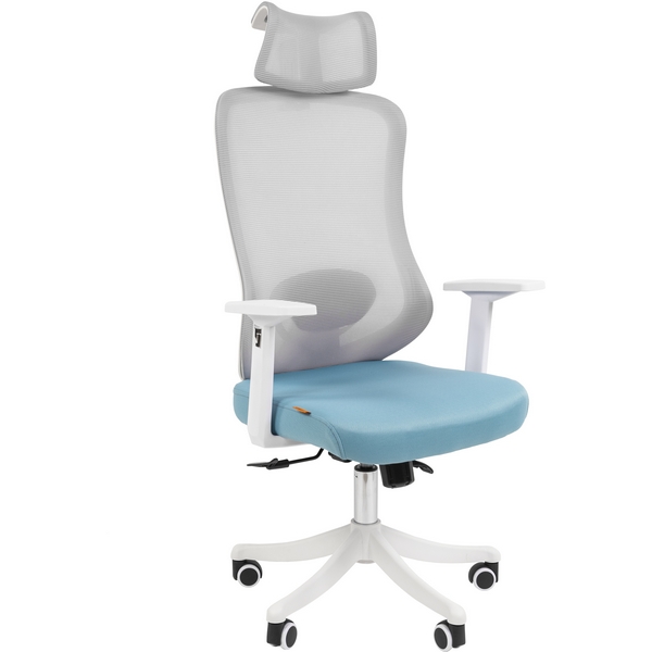 

Офисное кресло Chairman CH563 белый пластик, бирюзовый CHAIRMAN, CHAIRMAN CH563 белый CHAIRMAN CH563 белый