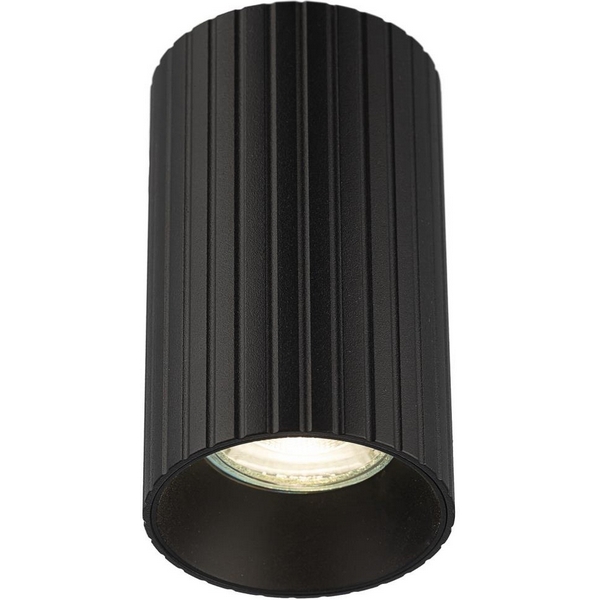 Потолочный светильник черный рифленый Citilux Axel CL512111R