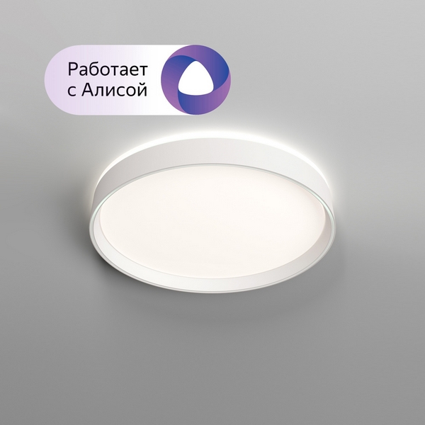 

Потолочный светильник Plato DK6510-WH/1 Denkirs, Белый, Plato DK6510-WH/1