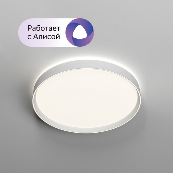 

Потолочный светодиодный светильник с пультом Plato DK6511-WH/1 (Умный дом, Алиса) Denkirs, Белый, Plato DK6511-WH/1