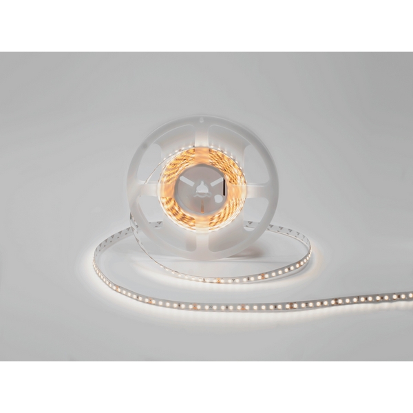 

Светодиодная лента DSG 2835 NW 120L-V24-IP33, 4000K, 120 LED, 9,6 W/m, LUX DesignLed DSG2120 DSG2120-9.6-24-NW-33, DSG2120 DSG2120-9.6-24-NW-33