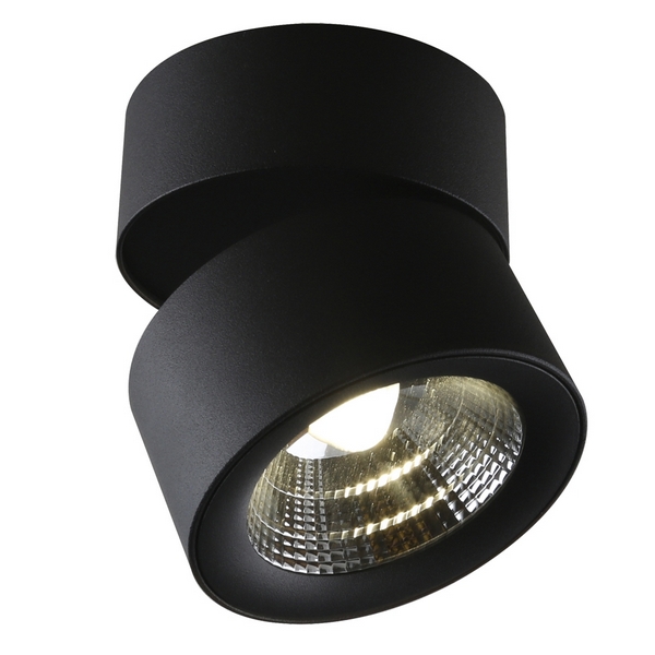 

Спот светодиодный Urchin 1295/04 PL-1 (Divinare), Черный, Urchin 1295/04 PL-1