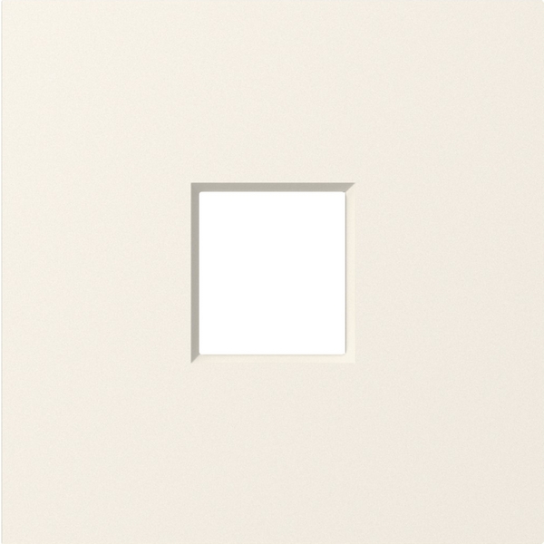 

Накладка 1-я для розеток RJ45,TV,SAT, матовый кремовый Donel A07 DE85931, A07 DE85931