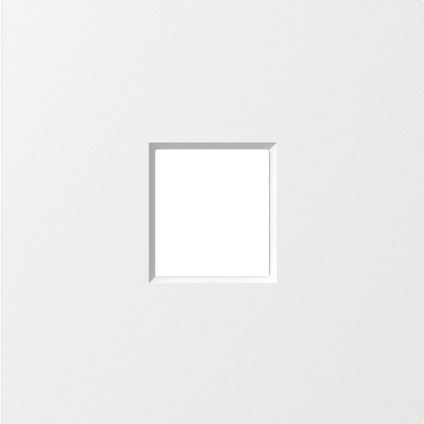 

Накладка 1-я для розеток RJ45,TV,SAT, матовый белый Donel A07 DE85933, A07 DE85933