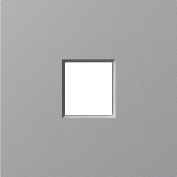 

Накладка 1-я для розеток RJ45,TV,SAT, матовый серый Donel A07 DE85940, A07 DE85940