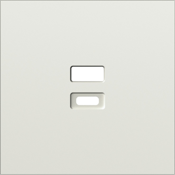 

Накладка для розеток USB, шампань Donel S08 DS28651, S08 DS28651