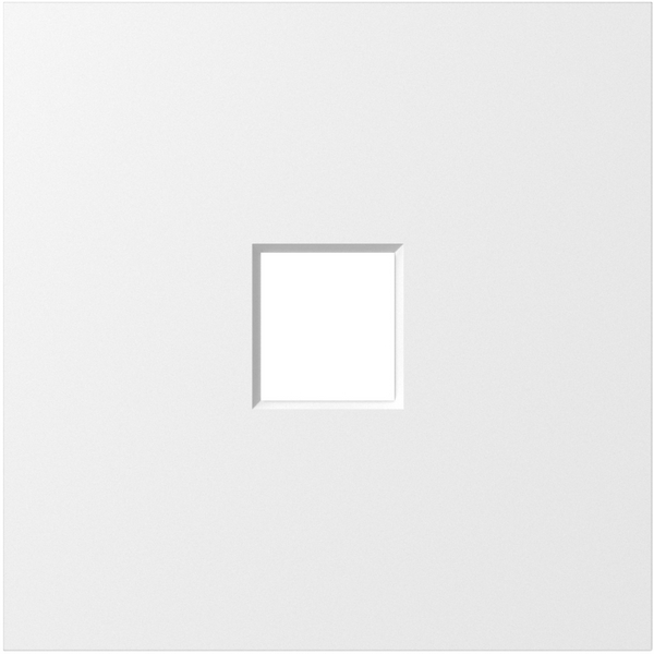 

Накладка 1-я для розеток RJ45,TV,SAT, матовый белый Donel S08 DS85933, S08 DS85933