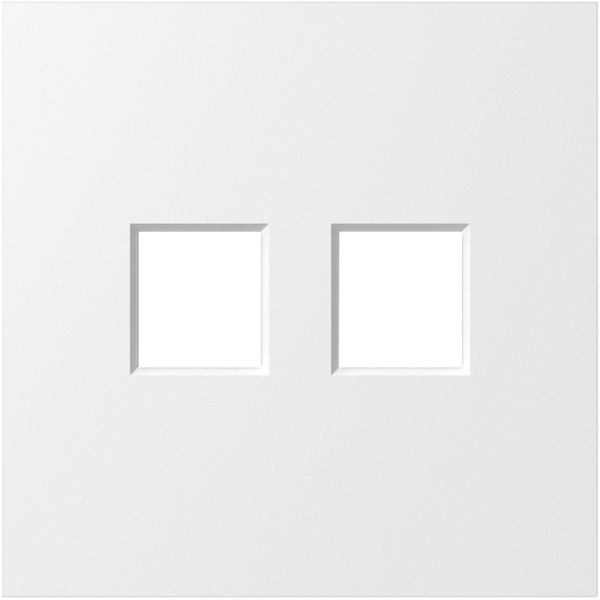 

Накладка 2-я для розеток RJ45,TV,SAT, матовый белый Donel S08 DS86933, S08 DS86933