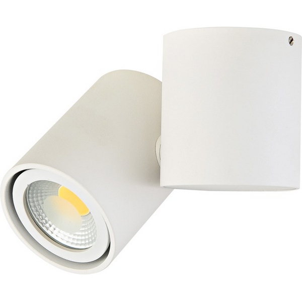 

Накладной светильник Donolux Eva A1594White/RAL9003, Белый, Eva A1594White/RAL9003